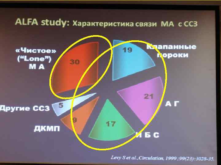 Первоначальный проект стадиона претерпел значительные изменения