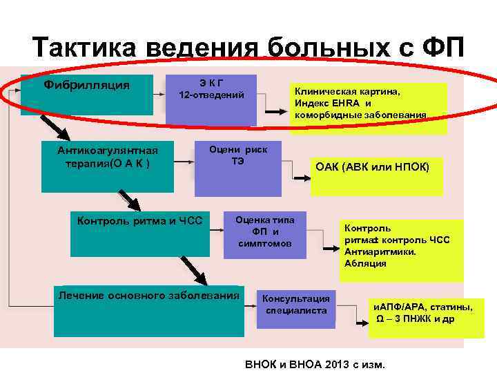 Тактика ведения больных с ФП Фибрилляция Э К Г 12 -отведений Антикоагулянтная терапия(О А