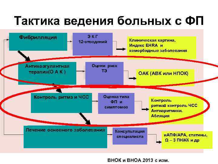 Тактика ведения больных с ФП Фибрилляция Э К Г 12 -отведений Антикоагулянтная терапия(О А