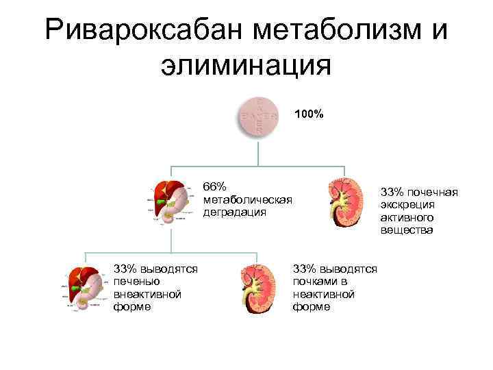 Ривароксабан метаболизм и элиминация 100% 66% метаболическая деградация 33% выводятся печенью внеактивной форме 33%