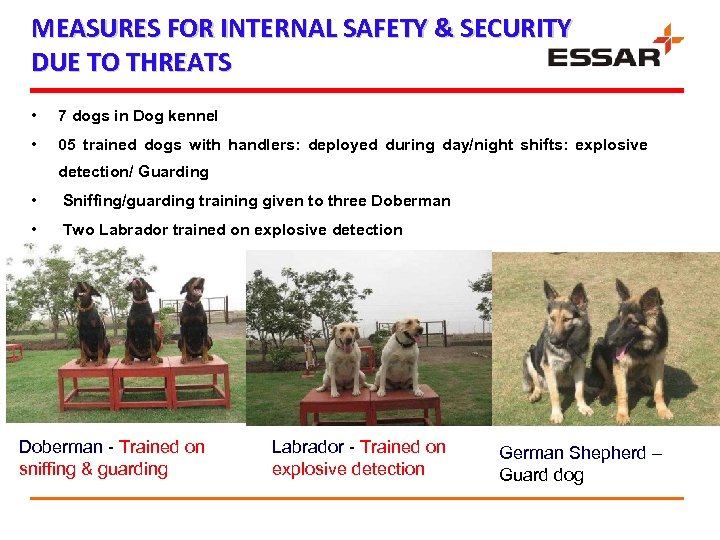 MEASURES FOR INTERNAL SAFETY & SECURITY DUE TO THREATS • 7 dogs in Dog