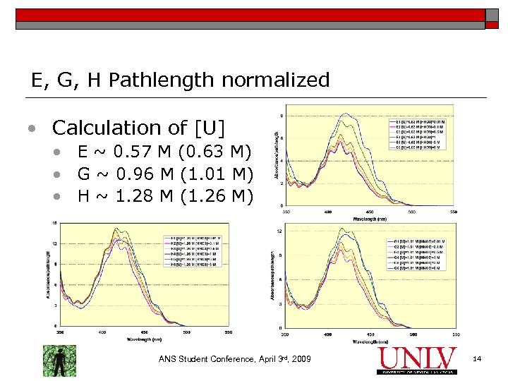 E, G, H Pathlength normalized • Calculation of [U] • E ~ 0. 57