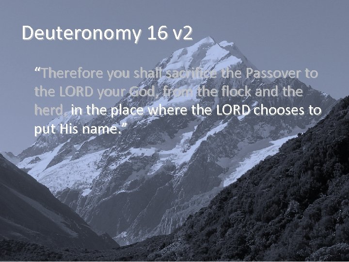 Deuteronomy 16 v 2 “Therefore you shall sacrifice the Passover to the LORD your