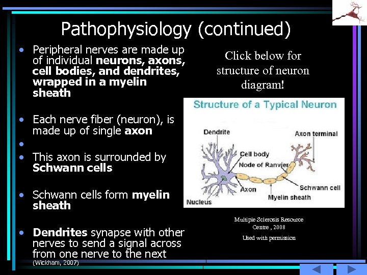 Pathophysiology (continued) • Peripheral nerves are made up of individual neurons, axons, cell bodies,