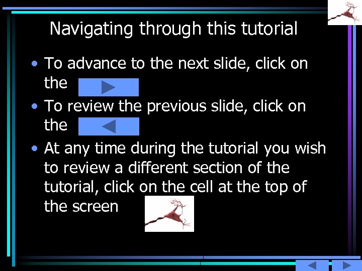 Navigating through this tutorial • To advance to the next slide, click on the