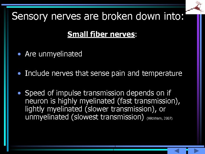 Sensory nerves are broken down into: Small fiber nerves: • Are unmyelinated • Include