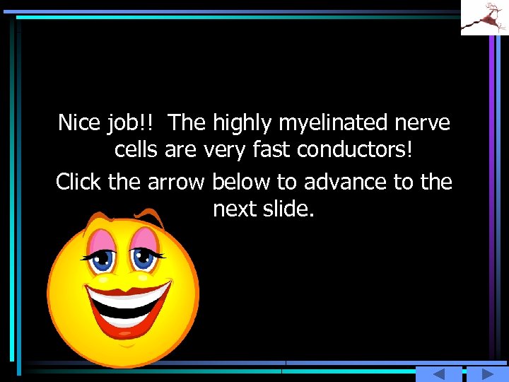 Nice job!! The highly myelinated nerve cells are very fast conductors! Click the arrow