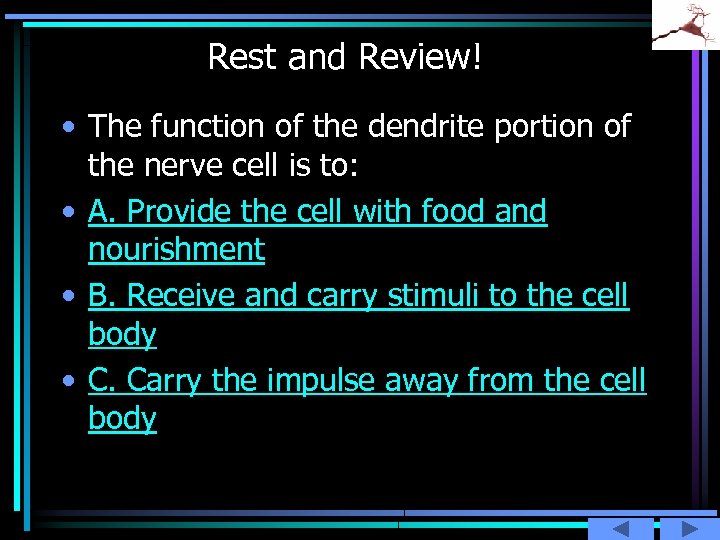 Rest and Review! • The function of the dendrite portion of the nerve cell