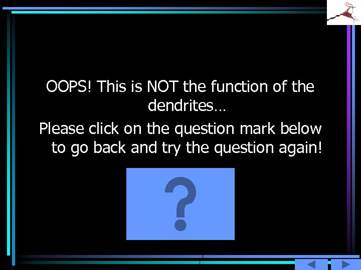 OOPS! This is NOT the function of the dendrites… Please click on the question