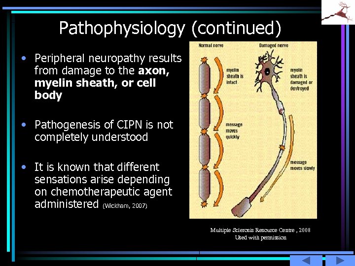 Pathophysiology (continued) • Peripheral neuropathy results from damage to the axon, myelin sheath, or