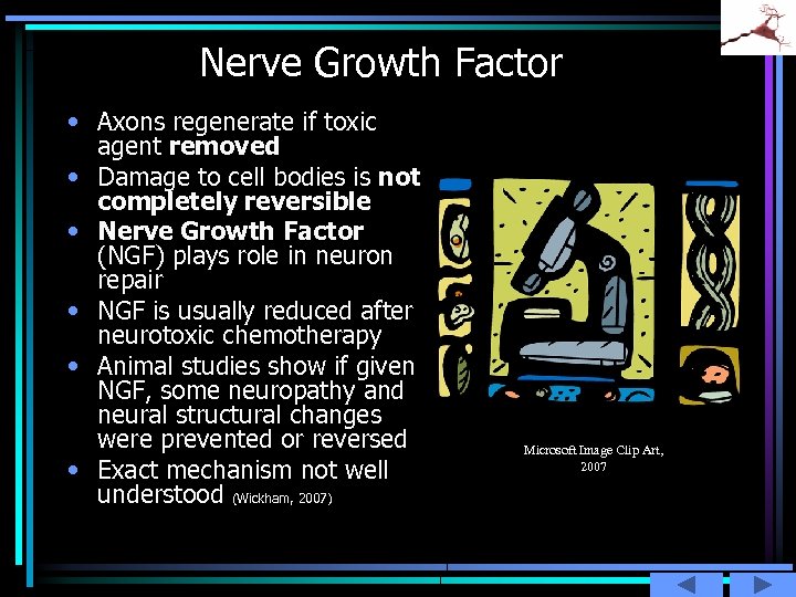 Nerve Growth Factor • Axons regenerate if toxic agent removed • Damage to cell