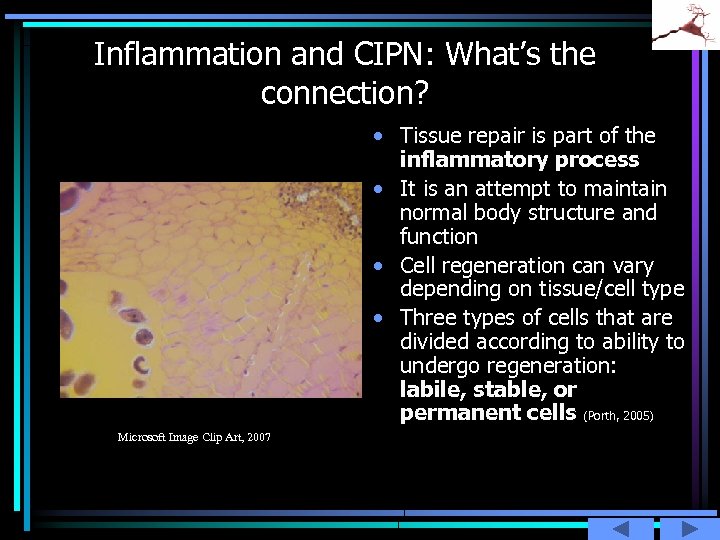 Inflammation and CIPN: What’s the connection? • Tissue repair is part of the inflammatory