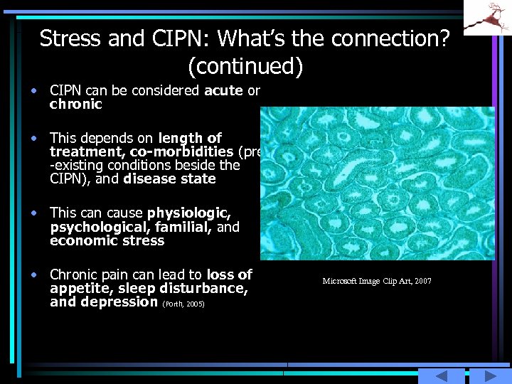 Stress and CIPN: What’s the connection? (continued) • CIPN can be considered acute or