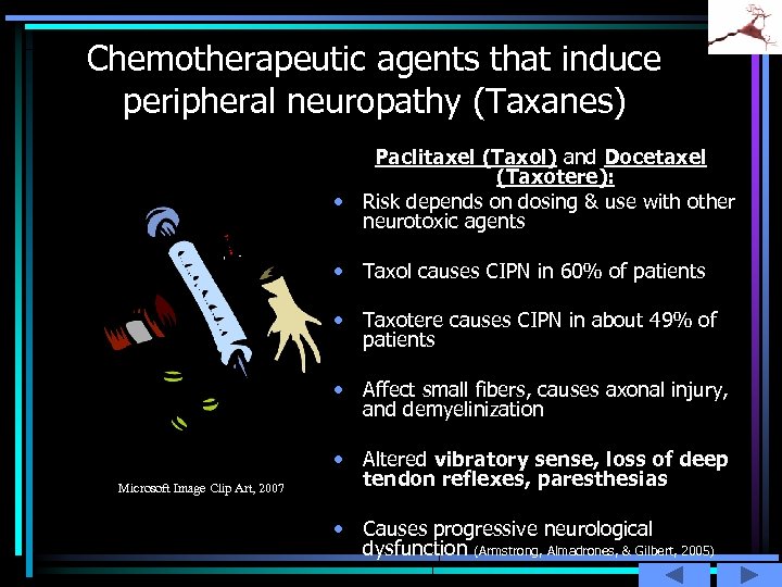 Chemotherapeutic agents that induce peripheral neuropathy (Taxanes) Paclitaxel (Taxol) and Docetaxel (Taxotere): • Risk