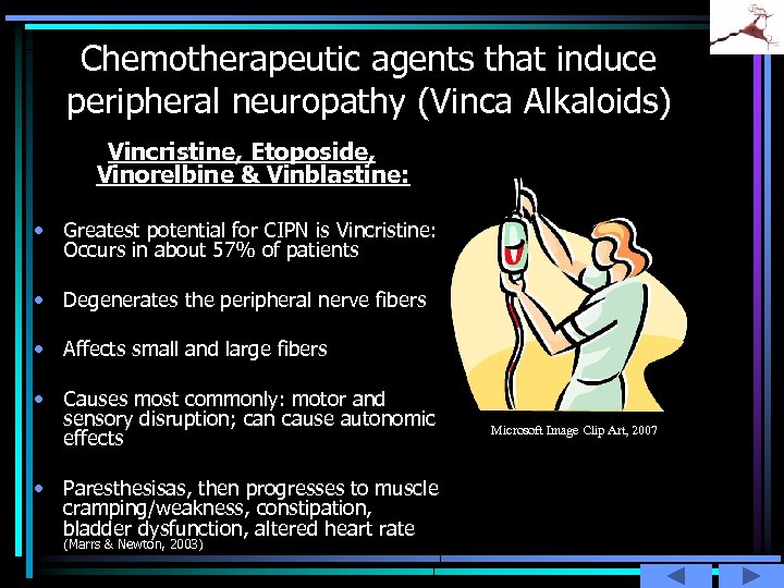 Chemotherapeutic agents that induce peripheral neuropathy (Vinca Alkaloids) Vincristine, Etoposide, Vinorelbine & Vinblastine: •