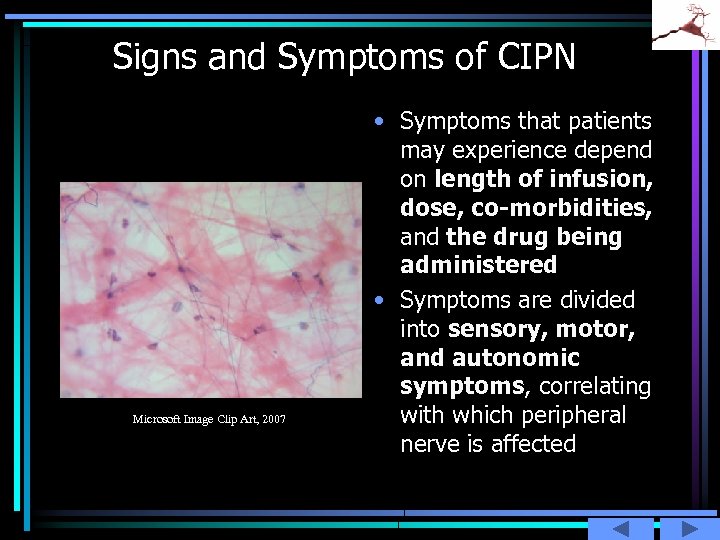 Signs and Symptoms of CIPN Microsoft Image Clip Art, 2007 • Symptoms that patients