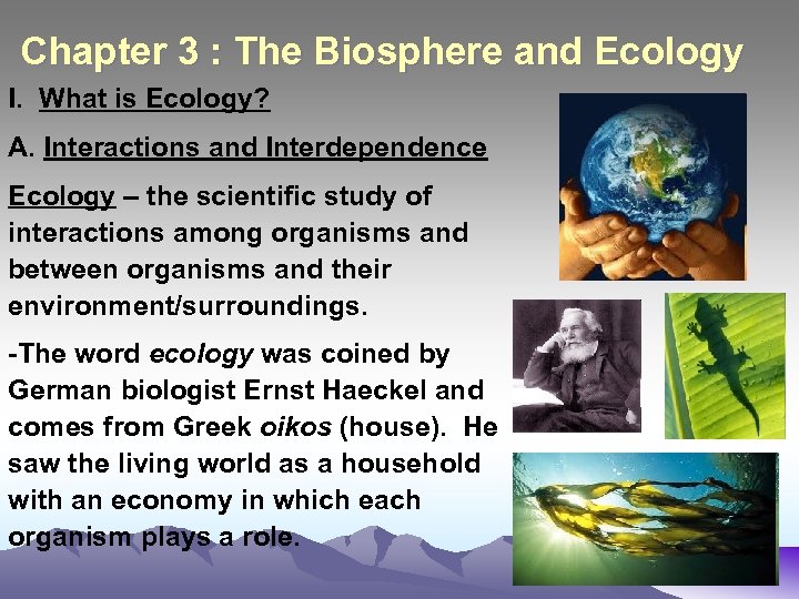 Chapter 3 : The Biosphere and Ecology I. What is Ecology? A. Interactions and