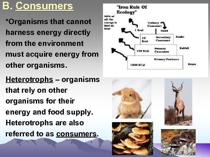 B. Consumers *Organisms that cannot harness energy directly from the environment must acquire energy