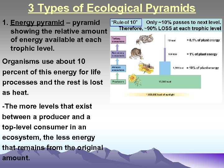 Chapter 3 The Biosphere And Ecology I