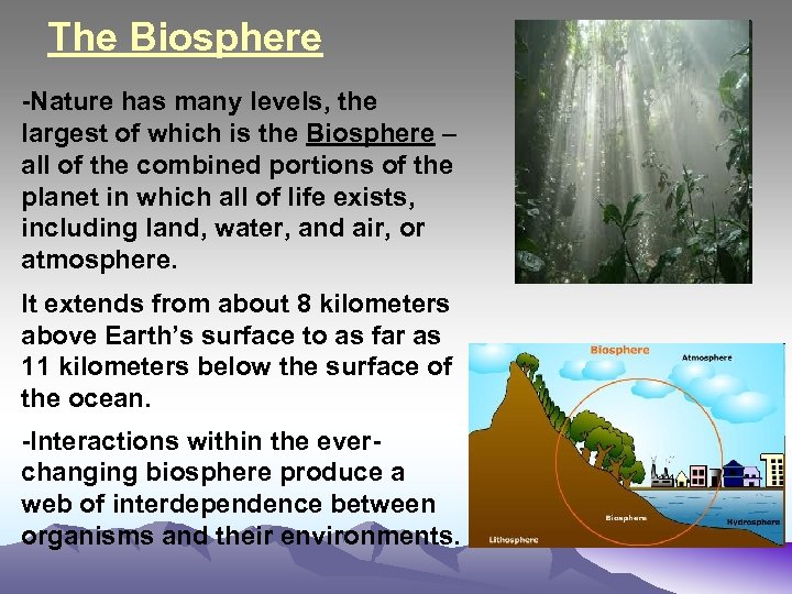 The Biosphere -Nature has many levels, the largest of which is the Biosphere –