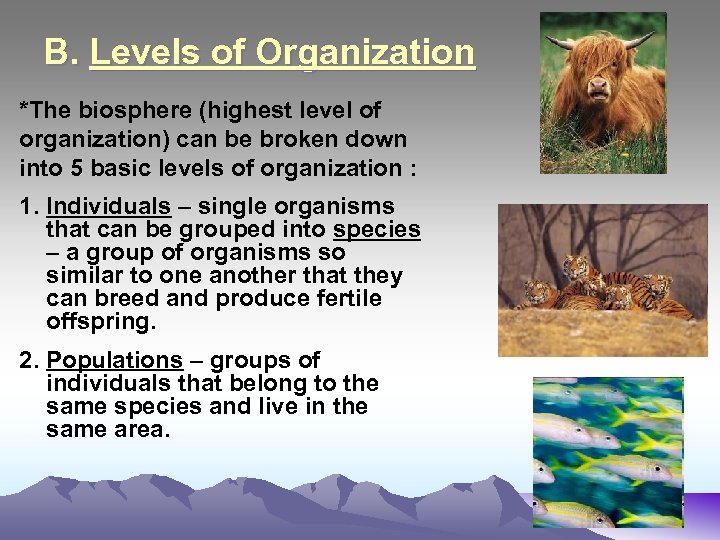 B. Levels of Organization *The biosphere (highest level of organization) can be broken down