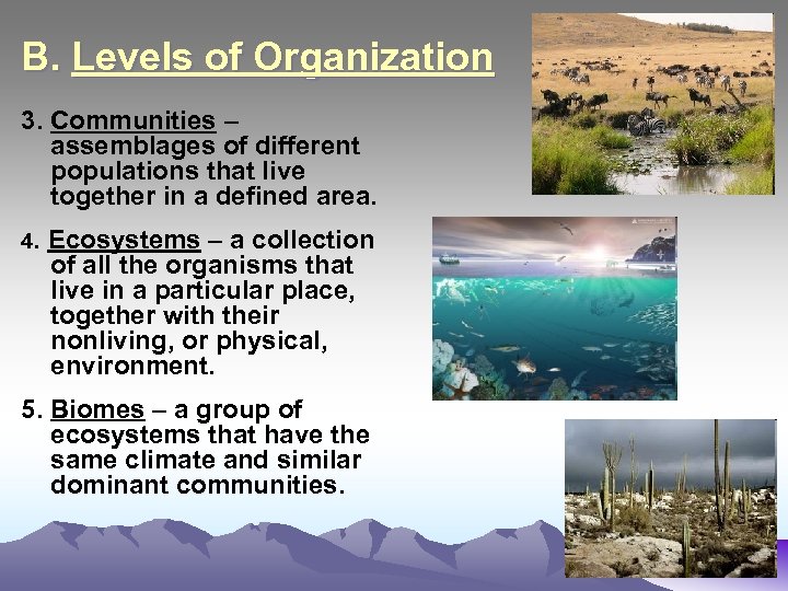 B. Levels of Organization 3. Communities – assemblages of different populations that live together