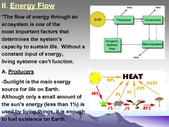 II. Energy Flow *The flow of energy through an ecosystem is one of the