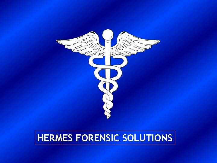 HERMES FORENSIC SOLUTIONS 