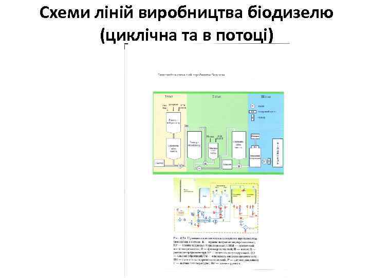 Схеми ліній виробництва біодизелю (циклічна та в потоці) 