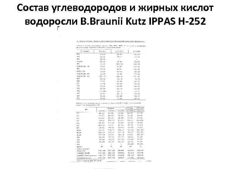 Состав углеводородов и жирных кислот водоросли B. Braunii Kutz IPPAS H-252 