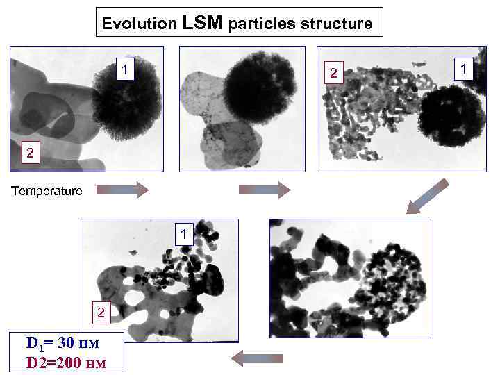 Evolution LSM particles structure 1 2 2 Temperature 1 2 D 1= 30 нм