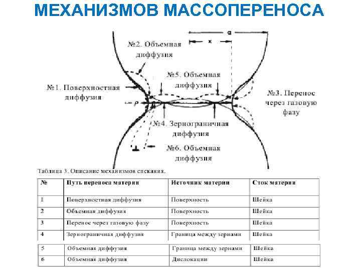 МЕХАНИЗМОВ МАССОПЕРЕНОСА 34 