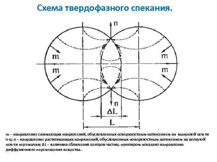 Схема твердофазного спекания. m – направление сжимающих напряжений, обусловленных поверхностным натяжением на выпуклой пов-ти