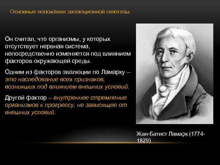 Основные положения эволюционной гипотезы Он считал, что организмы, у которых отсутствует нервная система, непосредственно