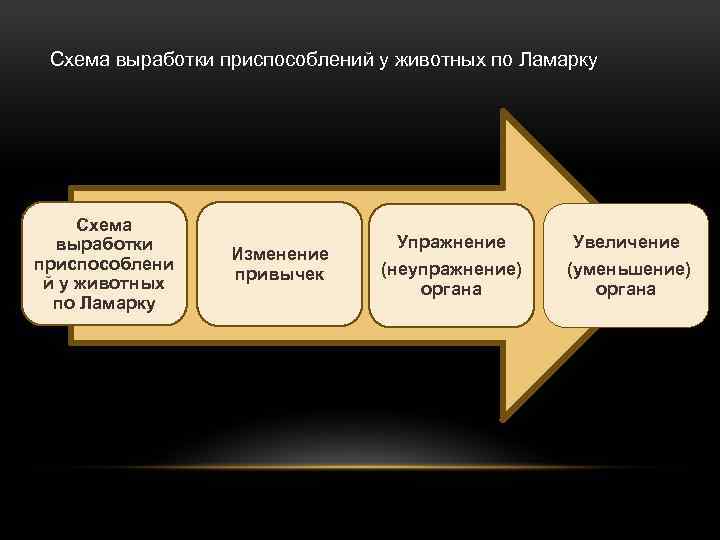 Схема выработки приспособлений у животных по Ламарку Схема выработки приспособлени й у животных по