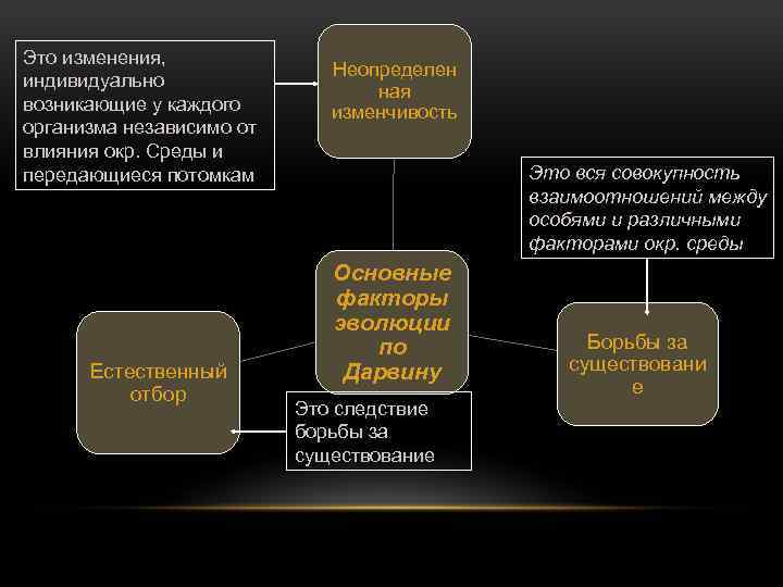 Это изменения, индивидуально возникающие у каждого организма независимо от влияния окр. Среды и передающиеся