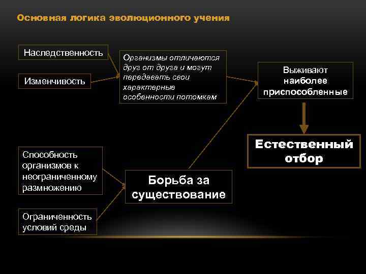 Основная логика эволюционного учения Наследственность Изменчивость Способность организмов к неограниченному размножению Ограниченность условий среды