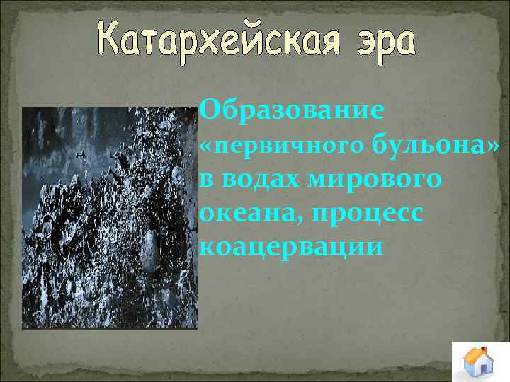 Образование «первичного бульона» в водах мирового океана, процесс коацервации 