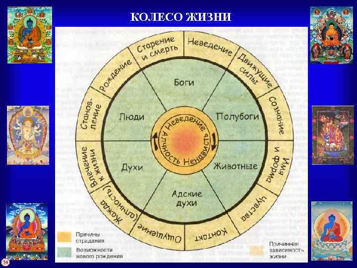 КОЛЕСО ЖИЗНИ 74 