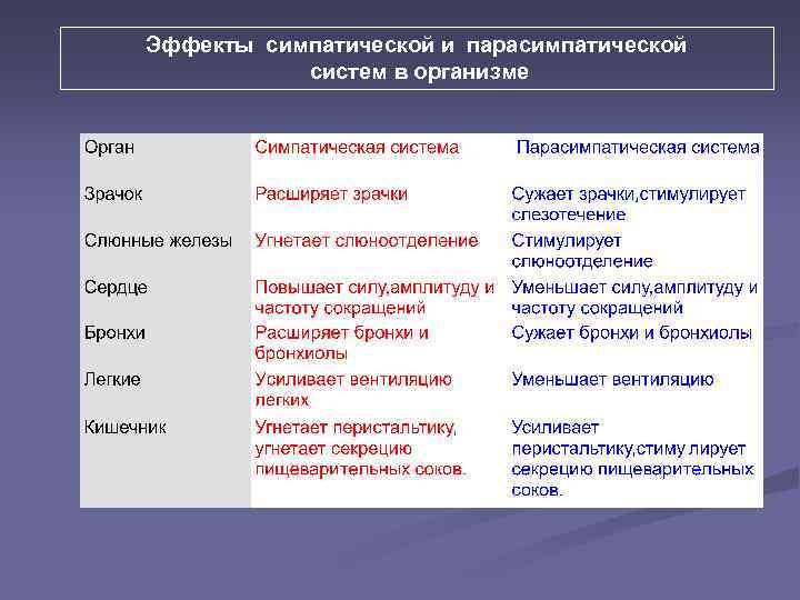 Эффекты симпатической и парасимпатической систем в организме 