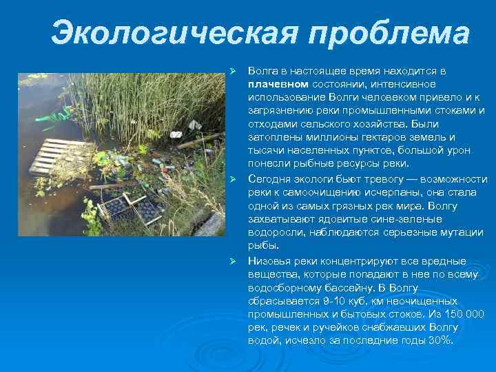 Экологическая проблема Волга в настоящее время находится в плачевном состоянии, интенсивное использование Волги человеком