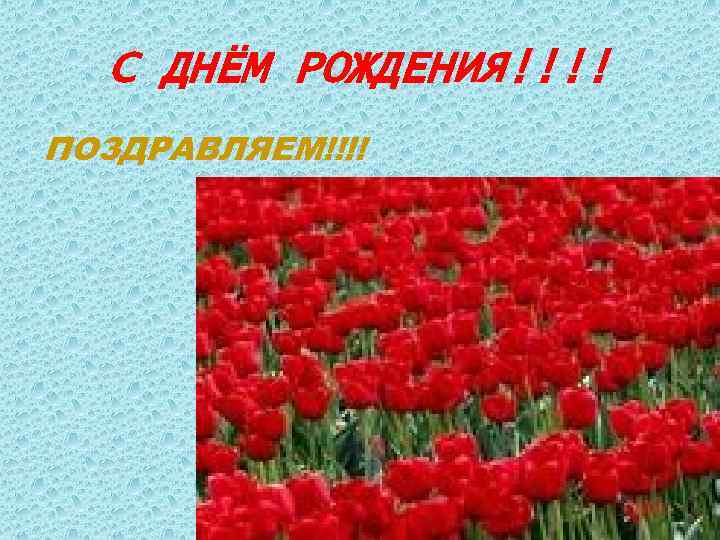 С ДНЁМ РОЖДЕНИЯ!!!! ПОЗДРАВЛЯЕМ!!!! 