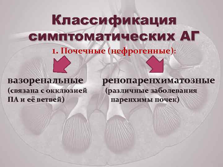 Классификация симптоматических АГ 1. Почечные (нефрогенные): вазоренальные (связана с окклюзией ПА и её ветвей)