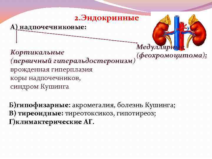 Вазоренальная гипертензия презентация