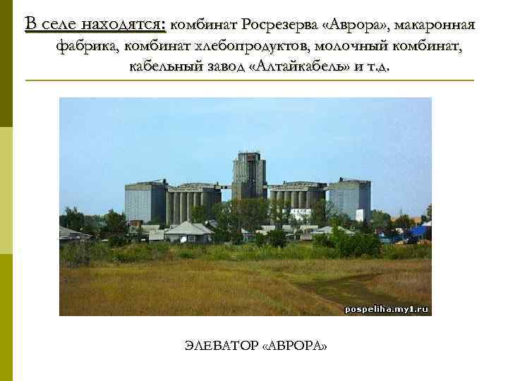 В селе находятся: комбинат Росрезерва «Аврора» , макаронная фабрика, комбинат хлебопродуктов, молочный комбинат, кабельный