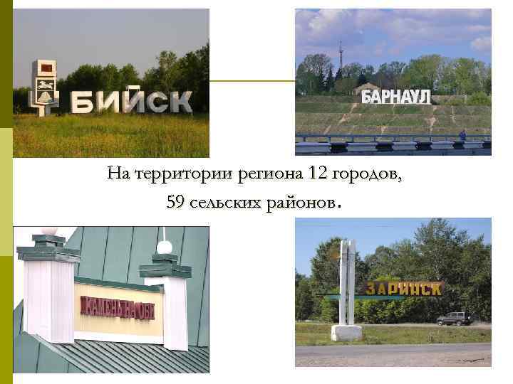 На территории региона 12 городов, 59 сельских районов 