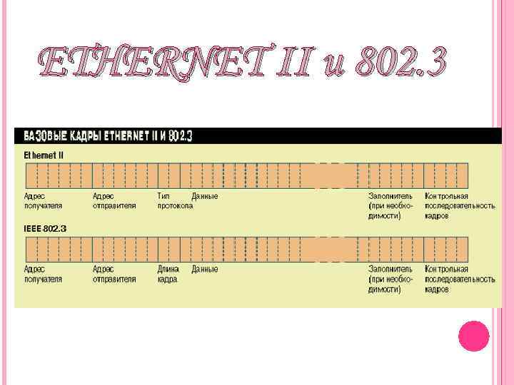 ETHERNET II и 802. 3 