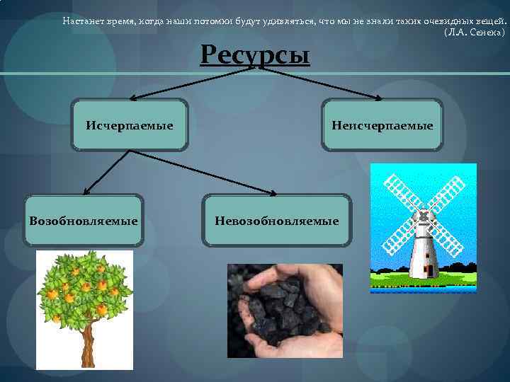 Настанет время, когда наши потомки будут удивляться, что мы не знали таких очевидных вещей.