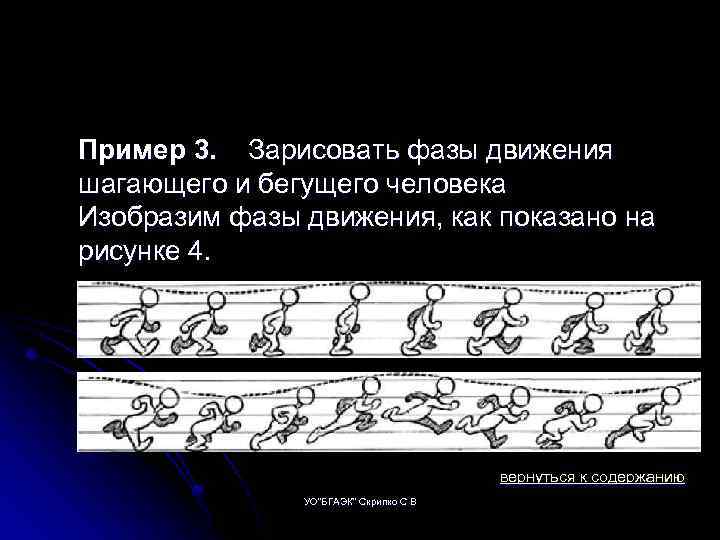 Пример 3. Зарисовать фазы движения шагающего и бегущего человека Изобразим фазы движения, как показано