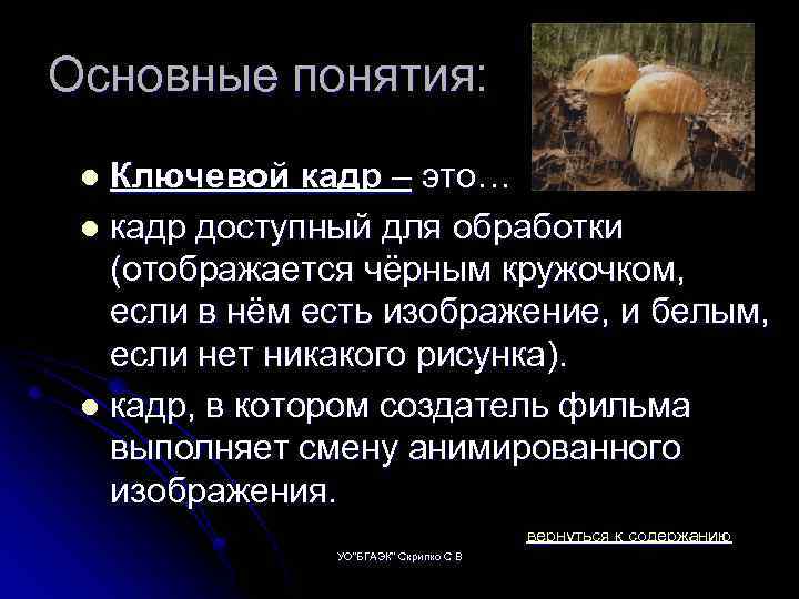 Основные понятия: Ключевой кадр – это… l кадр доступный для обработки (отображается чёрным кружочком,